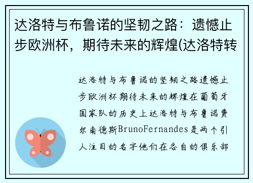 达洛特与布鲁诺的坚韧之路：遗憾止步欧洲杯，期待未来的辉煌(达洛特转会费)